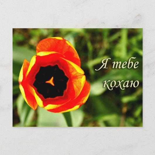 Ich Liebe dir Postkarte (Vorderseite)