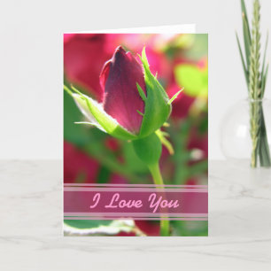 Ich Liebe dir rote Rose Knospe Karte
