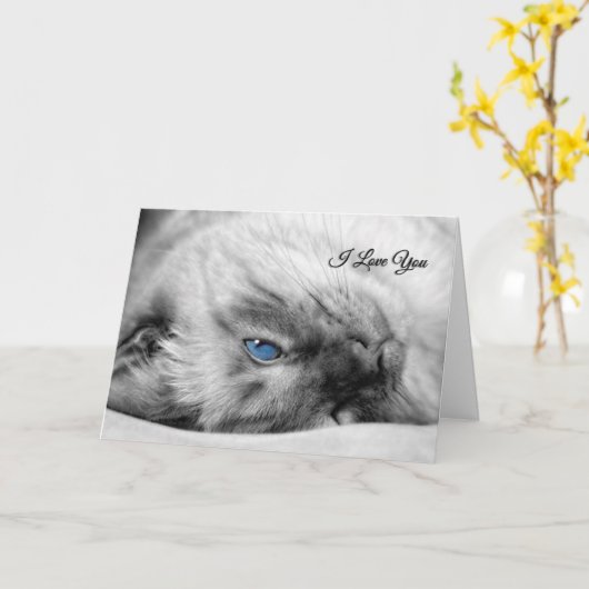 Ich Liebe dir Siamkatze mit blauen Augen Karte (Gelbe Blume)
