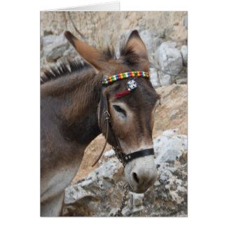 Ich Liebe Donkeys!