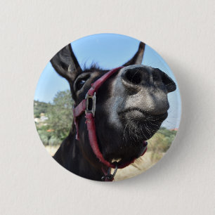 Ich Liebe Donkeys! Button