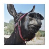 Ich Liebe Donkeys! Fliese (Vorderseite)