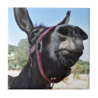 Ich Liebe Donkeys! Fliese
