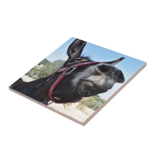 Ich Liebe Donkeys! Fliese (Seite)