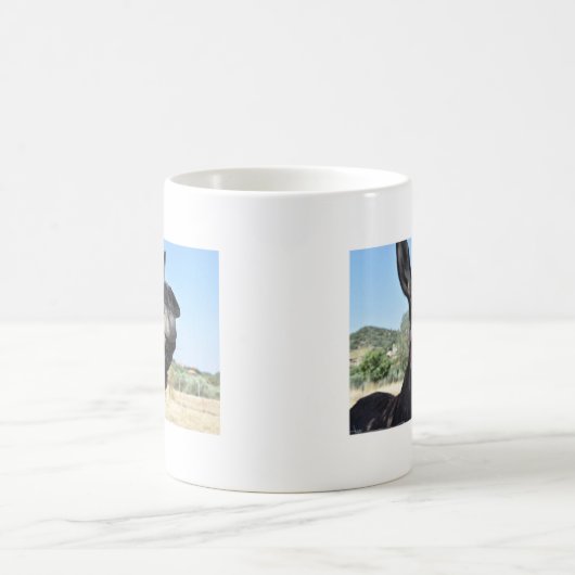 Ich Liebe Donkeys! Kaffeetasse (Mittel)