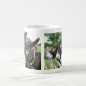 Ich Liebe Donkeys! Kaffeetasse (Mittel)