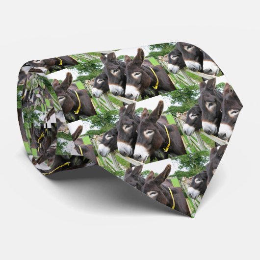 Ich Liebe Donkeys! Krawatte (Gerollt)