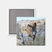 Ich Liebe Donkeys! Magnet (Vorderseite/Rückseite)