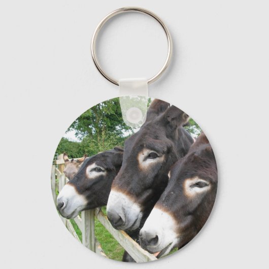 Ich Liebe Donkeys! Schlüsselanhänger (Vorderseite)