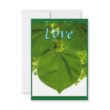 Ich Liebe, du magst die Bäume Liebe der Sonne