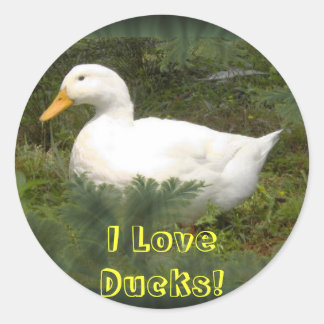 Ich Liebe Enten! Aufkleber