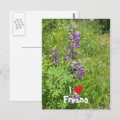 Ich liebe Fresno Postkarte (Vorne/Hinten)