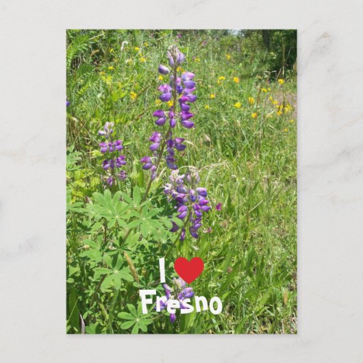 Ich liebe Fresno Postkarte (Vorderseite)
