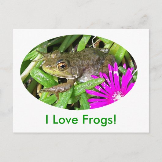 Ich Liebe Frogs! Karten, Shirts und Geschenkartike Postkarte (Vorderseite)