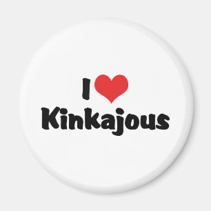 Ich liebe Herz Kinkajous Magnet