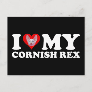 Ich liebe (Herz) meine Cornish Rex Postkarte