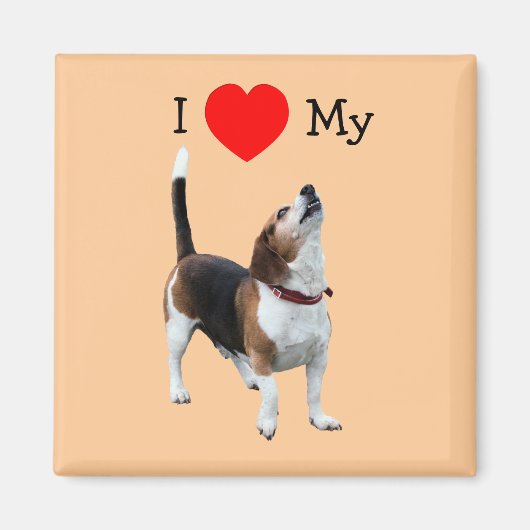 Ich Liebe Herz meinem Beagle Dog Magnet (Vorne)