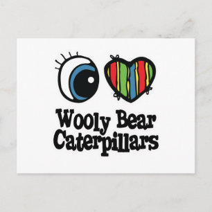 Ich liebe (Herz) Wooly Bear Raupen Postkarte