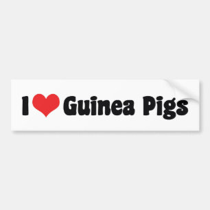 Ich liebe Herzmeerschweinchen Autoaufkleber