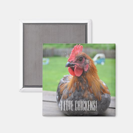 Ich Liebe Hühner... Black Copper Maran Roo Magnet (Vorderseite/Rückseite)