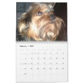 ICH LIEBE HUNDE-KALENDER KALENDER (Feb 2027)
