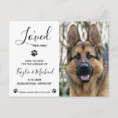 Ich liebe ihre erste - elegante, moderne Hundeheir Ankündigungspostkarte (Vorderseite)