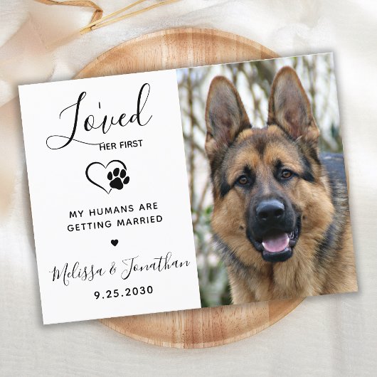 Ich liebe ihren ersten modernen QR Code Haustier H Einladungspostkarte