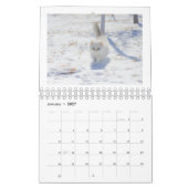 Ich liebe Katzen Kalender 2026 (Jan 2027)