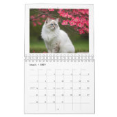 Ich liebe Katzen Kalender 2026 (Mär 2027)