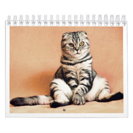 Ich liebe Katzen Kalender 2026
