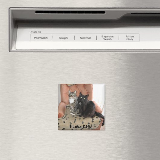 Ich Liebe Katzen! Magnet! Magnet (In Situ (Geschirrspüler))