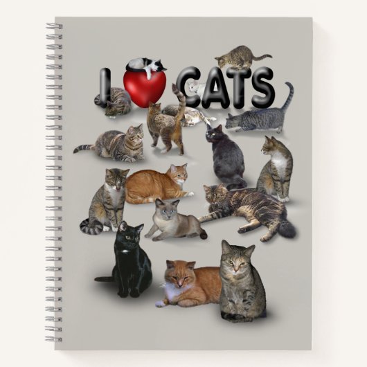 Ich liebe Katzen 😻 Notizblock (Vorderseite)