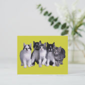 Ich Liebe Katzen von Junglewalk.com Postkarte (Stehend Vorderseite)
