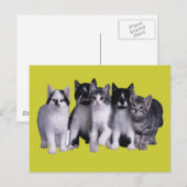 Ich Liebe Katzen von Junglewalk.com Postkarte (Vorne/Hinten)