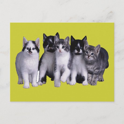 Ich Liebe Katzen von Junglewalk.com Postkarte (Vorderseite)