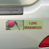 Ich liebe Libellen Natur Autoaufkleber (Auf Auto)