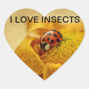 Ich liebe Marienkäfer Herz-Aufkleber