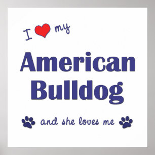 Ich Liebe mein amerikanischer Bulldog (weiblicher  Poster