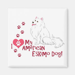 Ich Liebe mein amerikanischer Eskimo Hund! Magnet