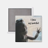 Ich Liebe mein Bartenton Niedlich Bartete Dragon P Magnet (Vorderseite/Rückseite)