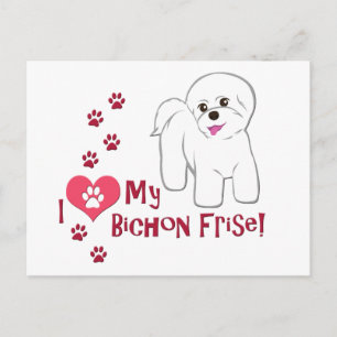 Ich Liebe mein Bichon Frise! Postkarte