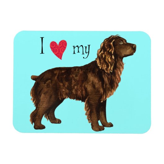 Ich Liebe mein Boykin Spaniel Magnet (Horizontal)