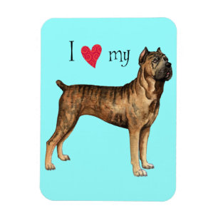Ich Liebe mein Cane Corso Magnet