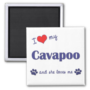 Ich Liebe mein Cavapoo (Weiblicher Hund) Magnet
