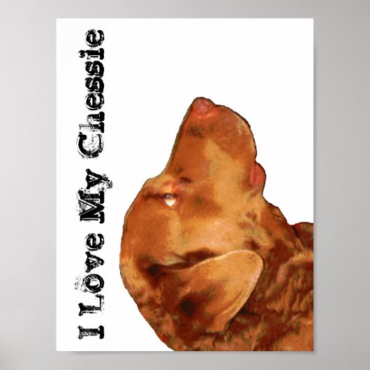 Ich Liebe mein Chessie Poster (Vorne)