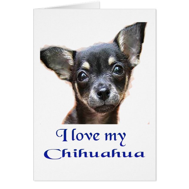 Ich Liebe mein Chihuahua (Vorne)