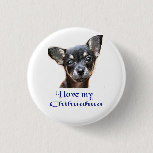 Ich Liebe mein Chihuahua Button
