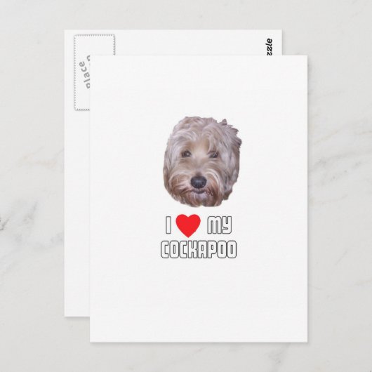 Ich Liebe mein Cockapoo Postkarte (Vorne/Hinten)
