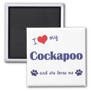 Ich Liebe mein Cockapoo (weiblicher Hund) Magnet
