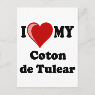 Ich Liebe mein Coton De Tulear Dog Postkarte